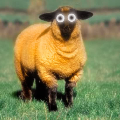 Lamb_Freaking